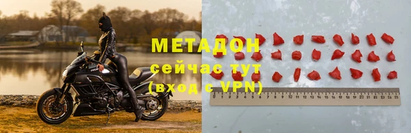 трава Гусь-Хрустальный