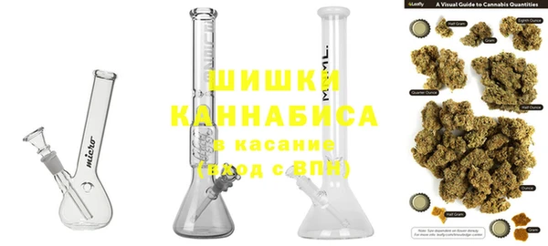 прущие крисы Гусев