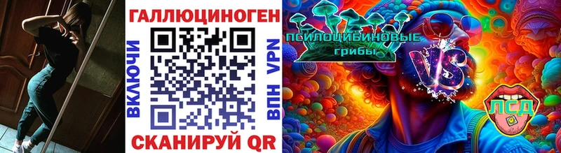 omg вход Долинск Галлюциногенные грибы Psilocybe